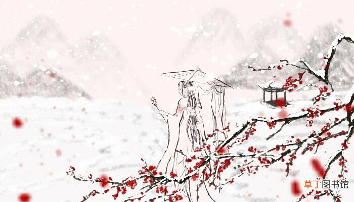梅须雪三分白,雪却输梅一段香的意思