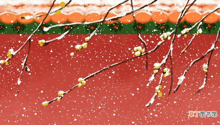 梅须雪三分白,雪却输梅一段香的意思