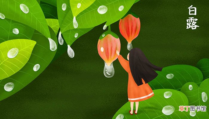 清风至,白露生的意思