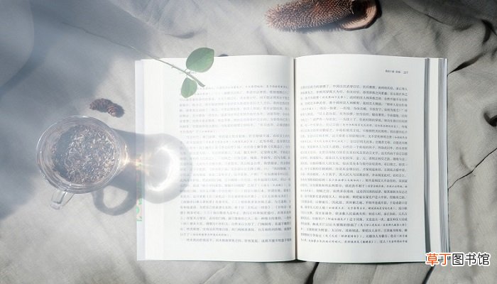 秋天的雨是按照什么结构写的