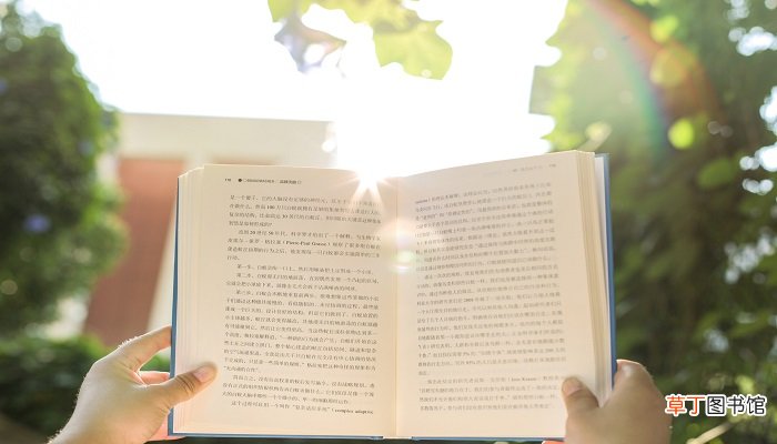 七根火柴和灯光的相同点和不同点