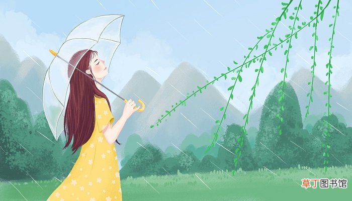 杨柳与水莲想象奇特的地方在哪里