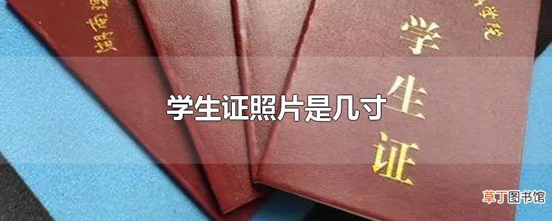 学生证照片是几寸