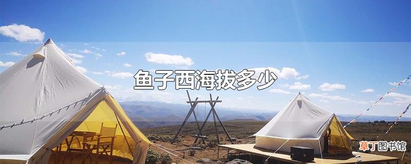 鱼子西海拔多少