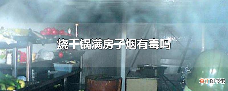 烧干锅满房子烟有毒吗