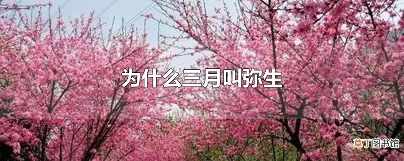 为什么三月叫弥生