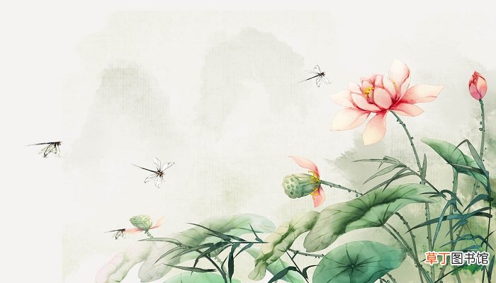 绿树阴浓夏日长的夏日长是什么意思