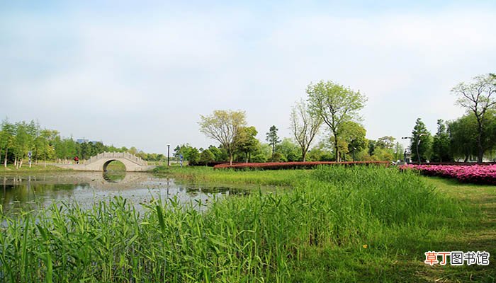 池塘生春草,园柳变鸣禽是什么意思?
