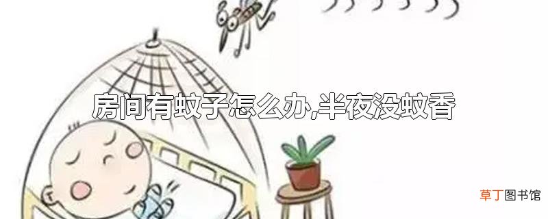 房间有蚊子怎么办,半夜没蚊香