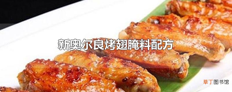 新奥尔良烤翅腌料配方