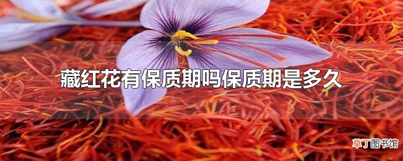 藏红花有保质期吗保质期是多久