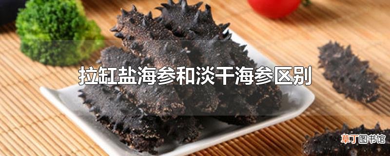 拉缸盐海参和淡干海参区别