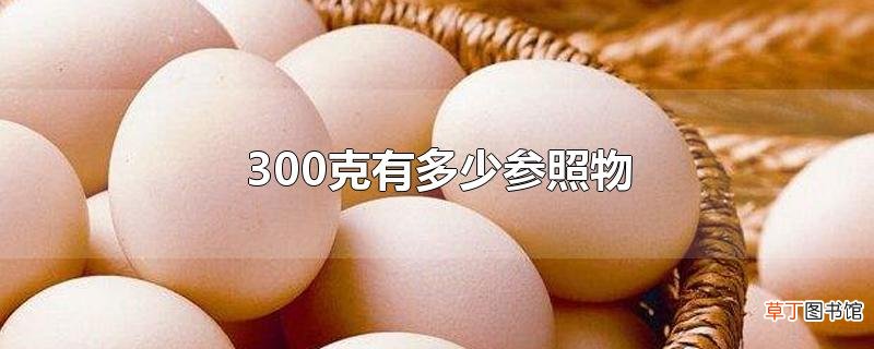 300克有多少参照物