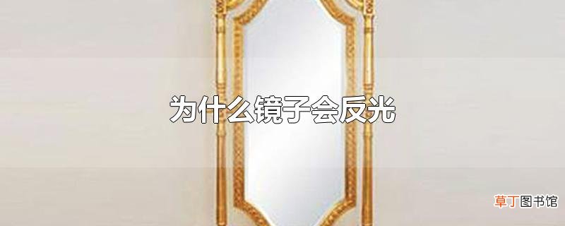 为什么镜子会反光