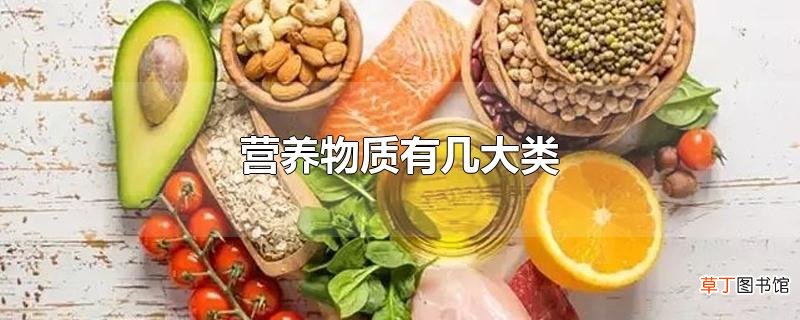 营养物质有几大类