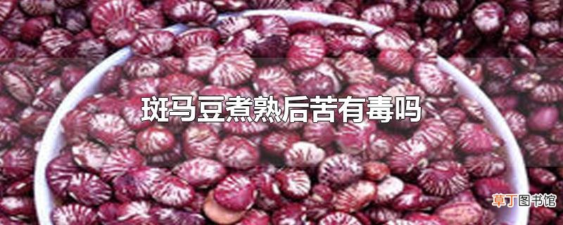 斑马豆煮熟后苦有毒吗