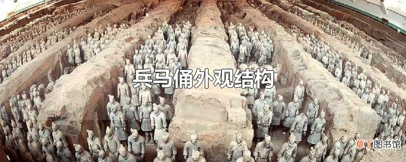 兵马俑外观结构