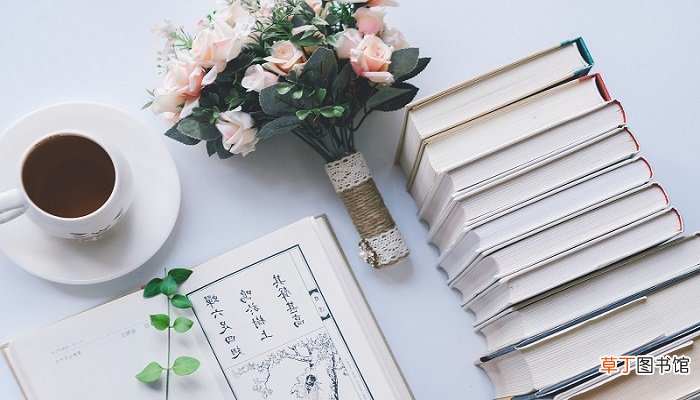 细菌不可以保存为化石正确吗