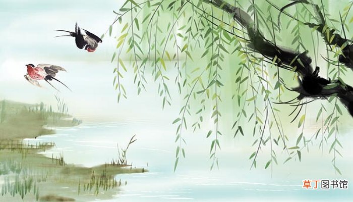 柳树妈妈的办法是什么