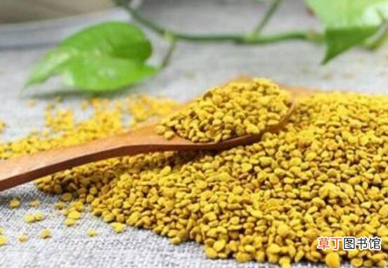 油菜花粉怎么服用 油菜花粉的食用方法