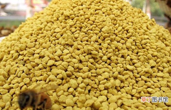 油菜花粉怎么服用 油菜花粉的食用方法