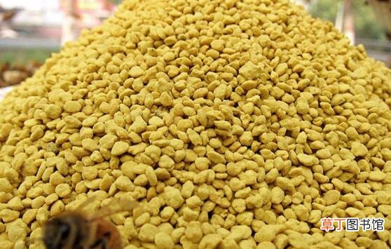 女人长期吃油菜花粉的好处与坏处
