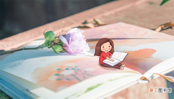 花的学校中心思想