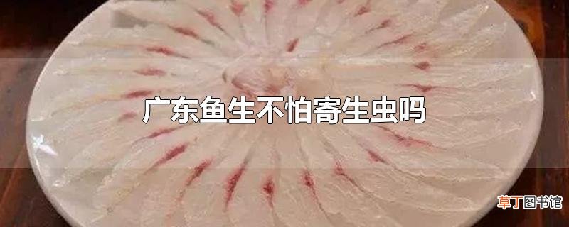 广东鱼生不怕寄生虫吗