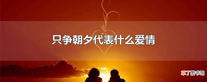 只争朝夕代表什么爱情