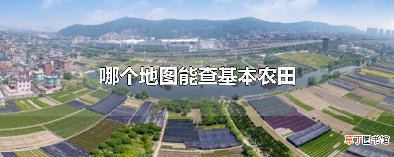 哪个地图能查基本农田
