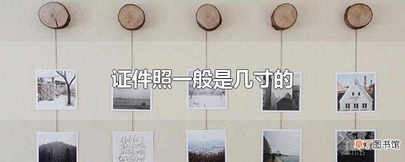 证件照一般是几寸的