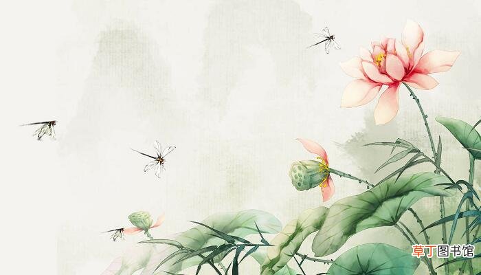 四面荷花三面柳,一城山色半城湖全诗