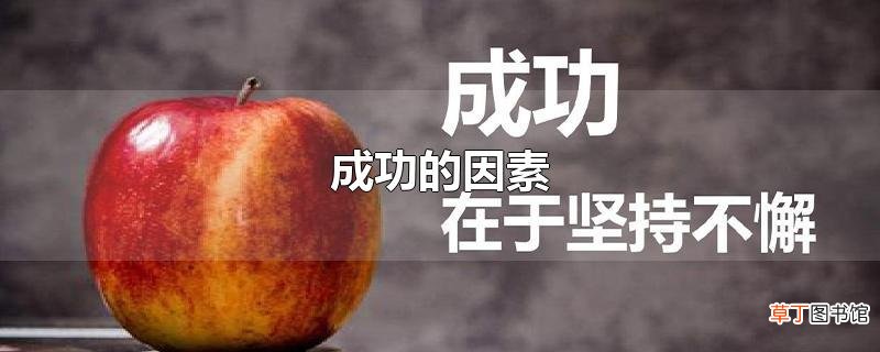 成功的因素