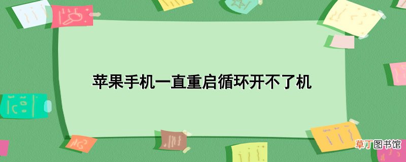 苹果手机一直重启循环开不了机