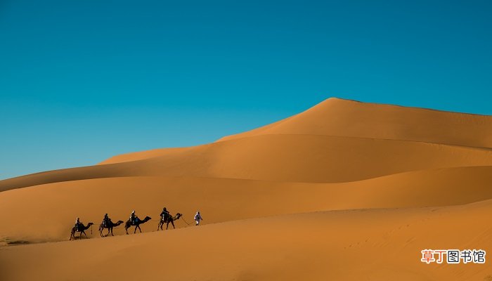 西汉著名外交家丝绸之路的开拓者张骞是哪里人