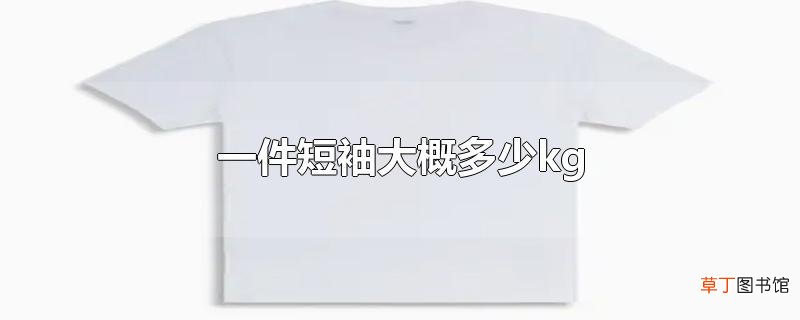 一件短袖大概多少kg