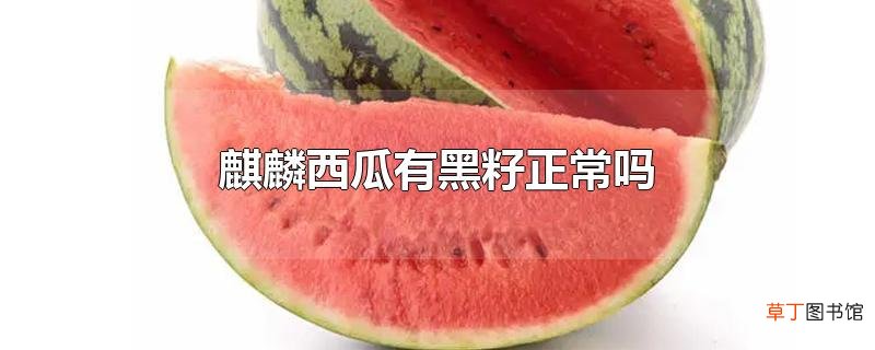 麒麟西瓜有黑籽正常吗