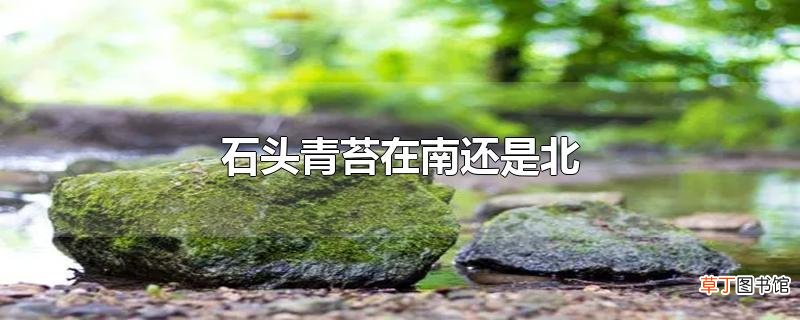 石头青苔在南还是北