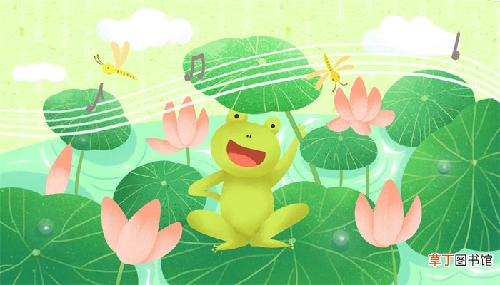 从青蛙的眼睛得到启示发明了什么
