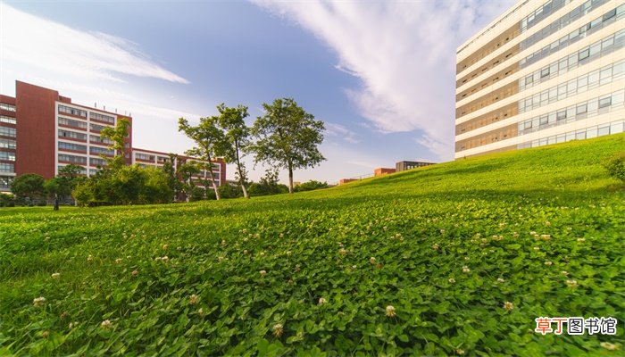 民办学校和公办学校有什么区别