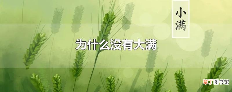 为什么没有大满