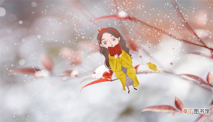 漫江碧透的透好在哪