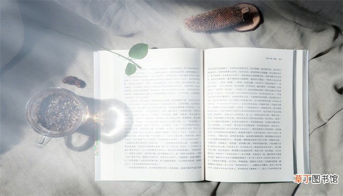 漫江碧透的透好在哪