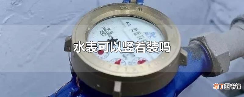 水表可以竖着装吗