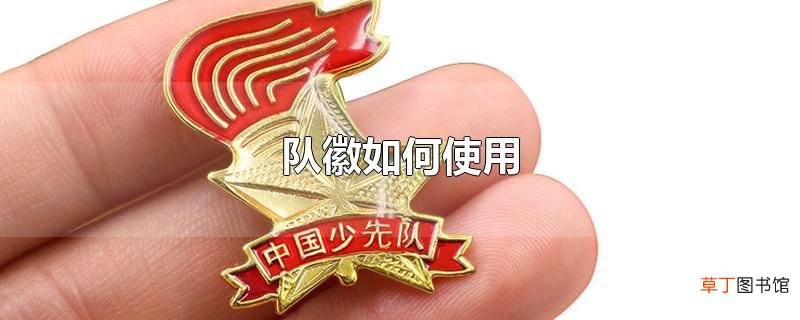 队徽怎么使用