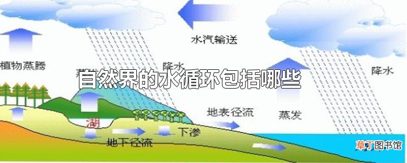 自然界的水循环包括哪些