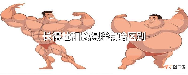长得壮和长得胖有啥区别