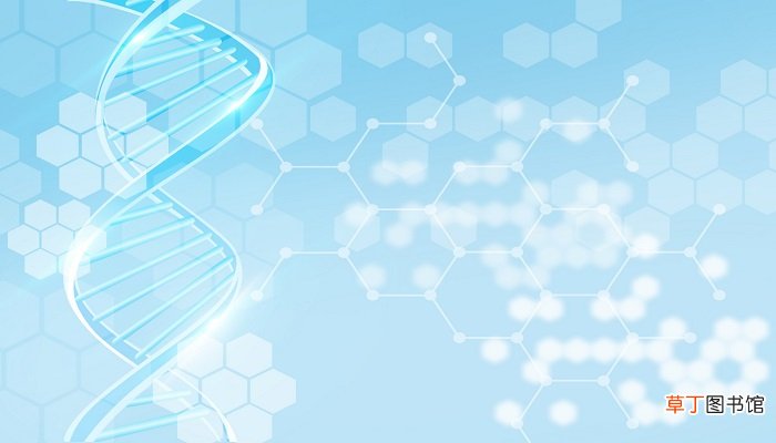 核酸分子中的嘌呤碱基主要有几种