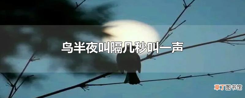 鸟半夜叫隔几秒叫一声