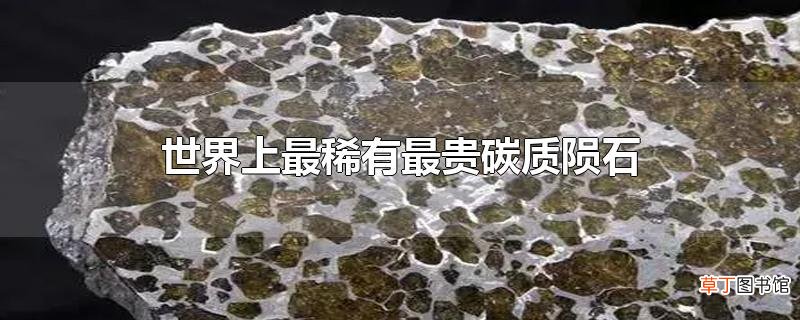 世界上最稀有最贵碳质陨石